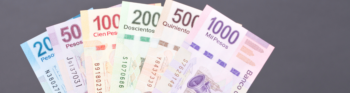 La solvencia económica no es un factor determinante para obtener la visa