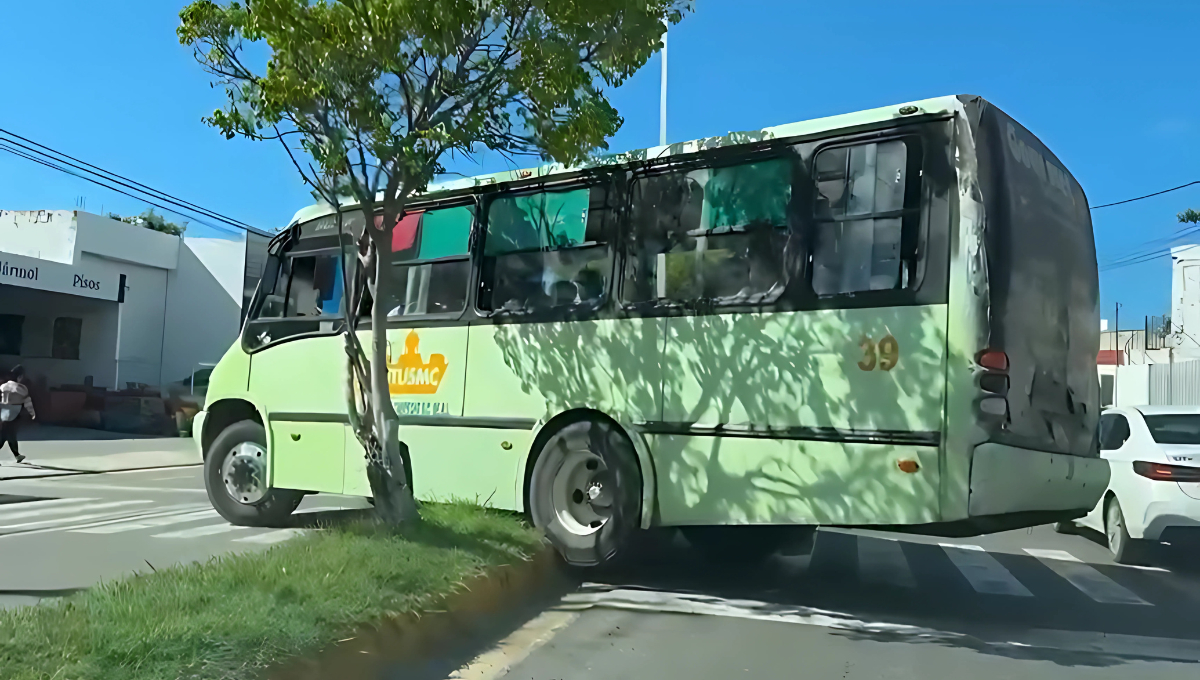 Camionero imprudente en la  Av. Patricio Trueba p