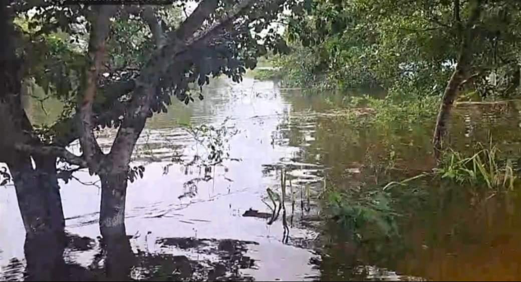 El desbordamiento de las lagunas del ejido Zoh Laguna por la tormenta "Nadine" inundó varias colonias