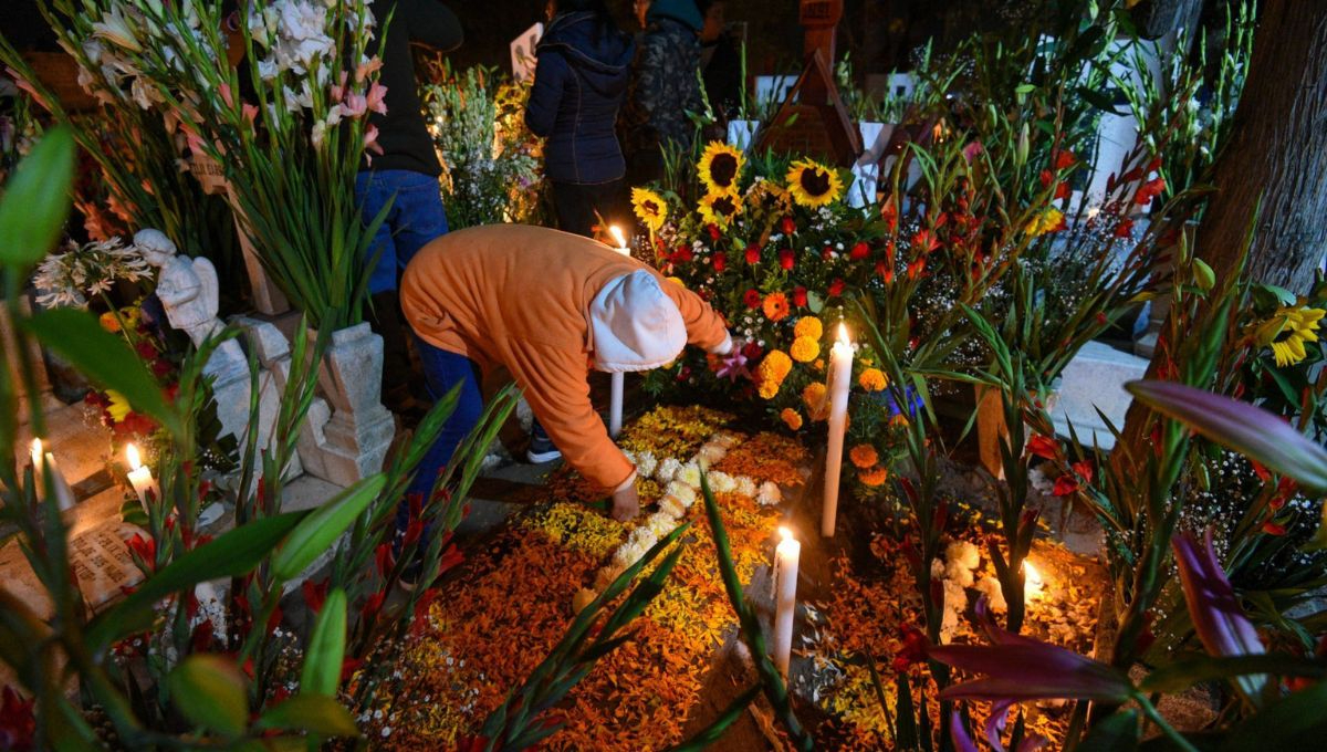 El nombre cempasúchil proviene del náhuatl Cempohualxochitl, que significa "flor de veinte pétalos"