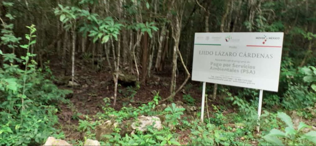 Policías retienen arma de fuego de individuo que presuntamente realiza caza furtiva en la reserva de Balam K'aax  