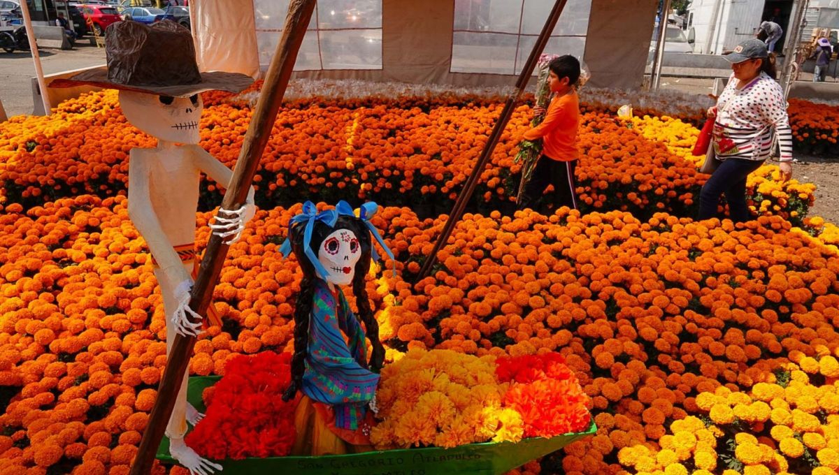 La flor de cempasúchil ha sido, desde tiempos prehispánicos, un símbolo de la vida, la muerte y la renovación