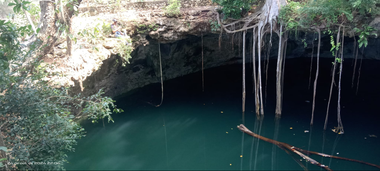 El cocodrilo lleva seis meses viviendo dentro del cenote