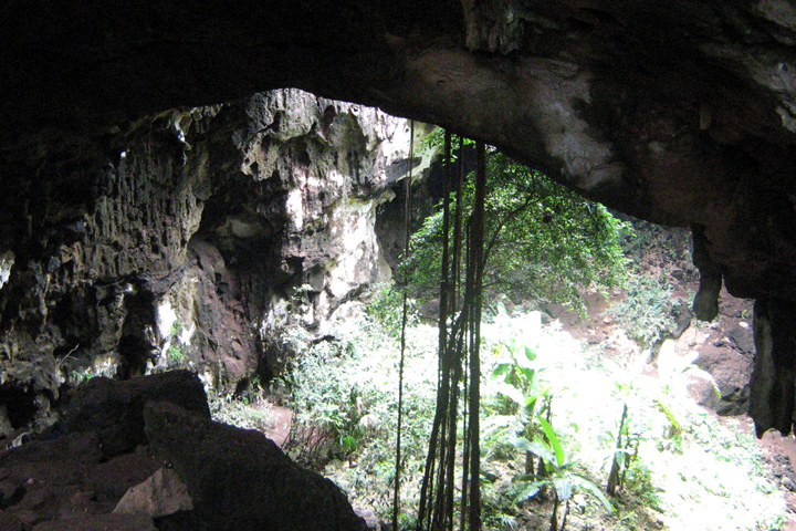 Las cuevas son ecosistemas importantes que brindan refugio al geco yucateco de bandas