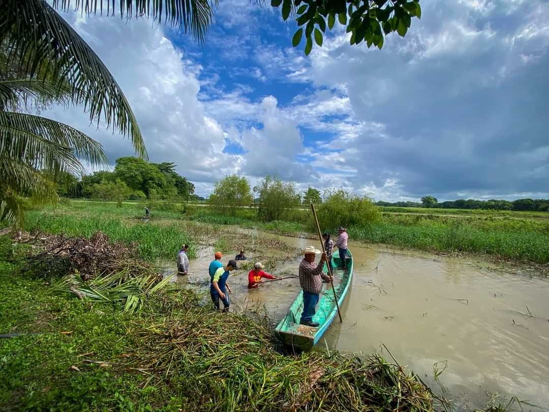 Ríos en Campeche, por debajo de niveles máximos ordinarios, según Conagua