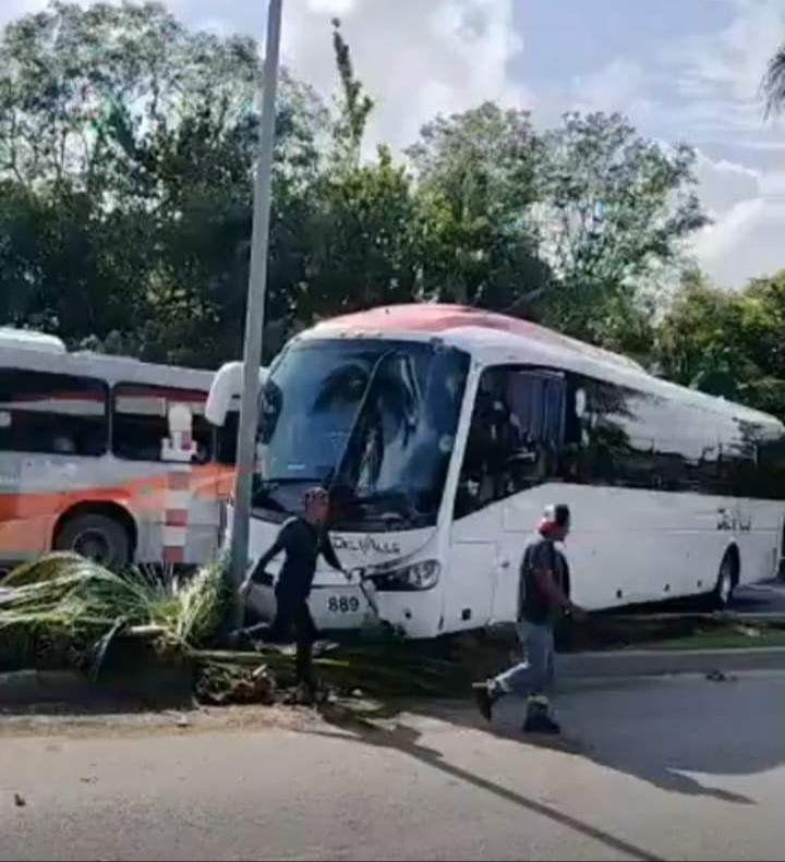   Accidente en la ZH de Cancún: Autobús se descontrola y se estampa con un palmera  