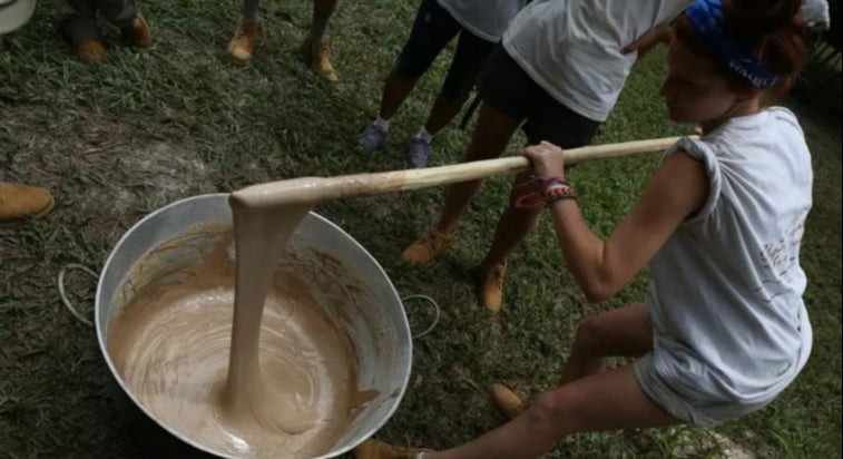 Durante la temporada chiclera, los chicleros experimentados pueden producir hasta 40 kg de chicle por semana