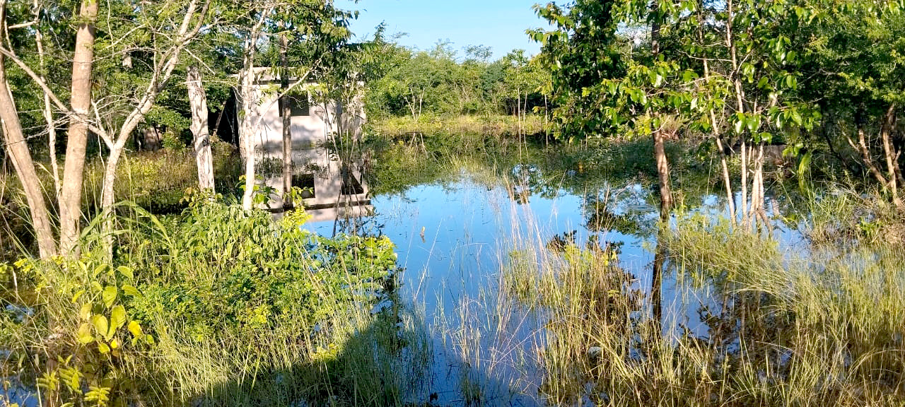 Caminos sacacocechas y áreas de producción han registrado inundaciones