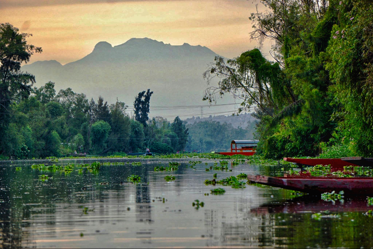 Los canales de Xochimilco