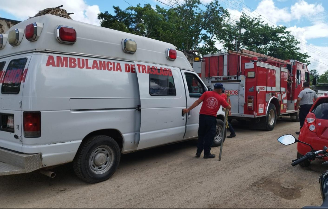 Sujeto machetea un perro en José María Morelos; su vecino procederá una denuncia por maltrato animal