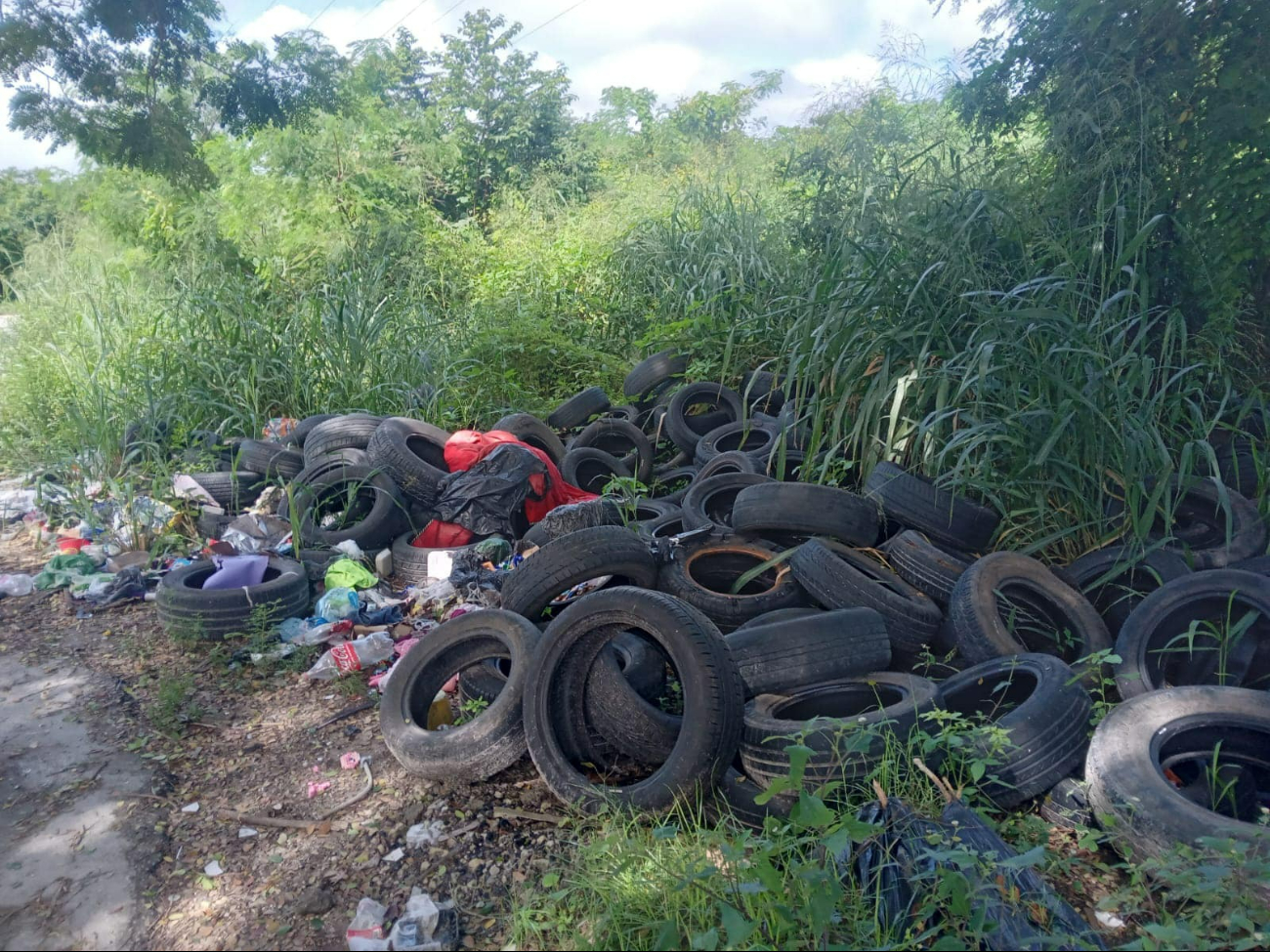 Reportan tiradero de llantas viejas en Chetumal