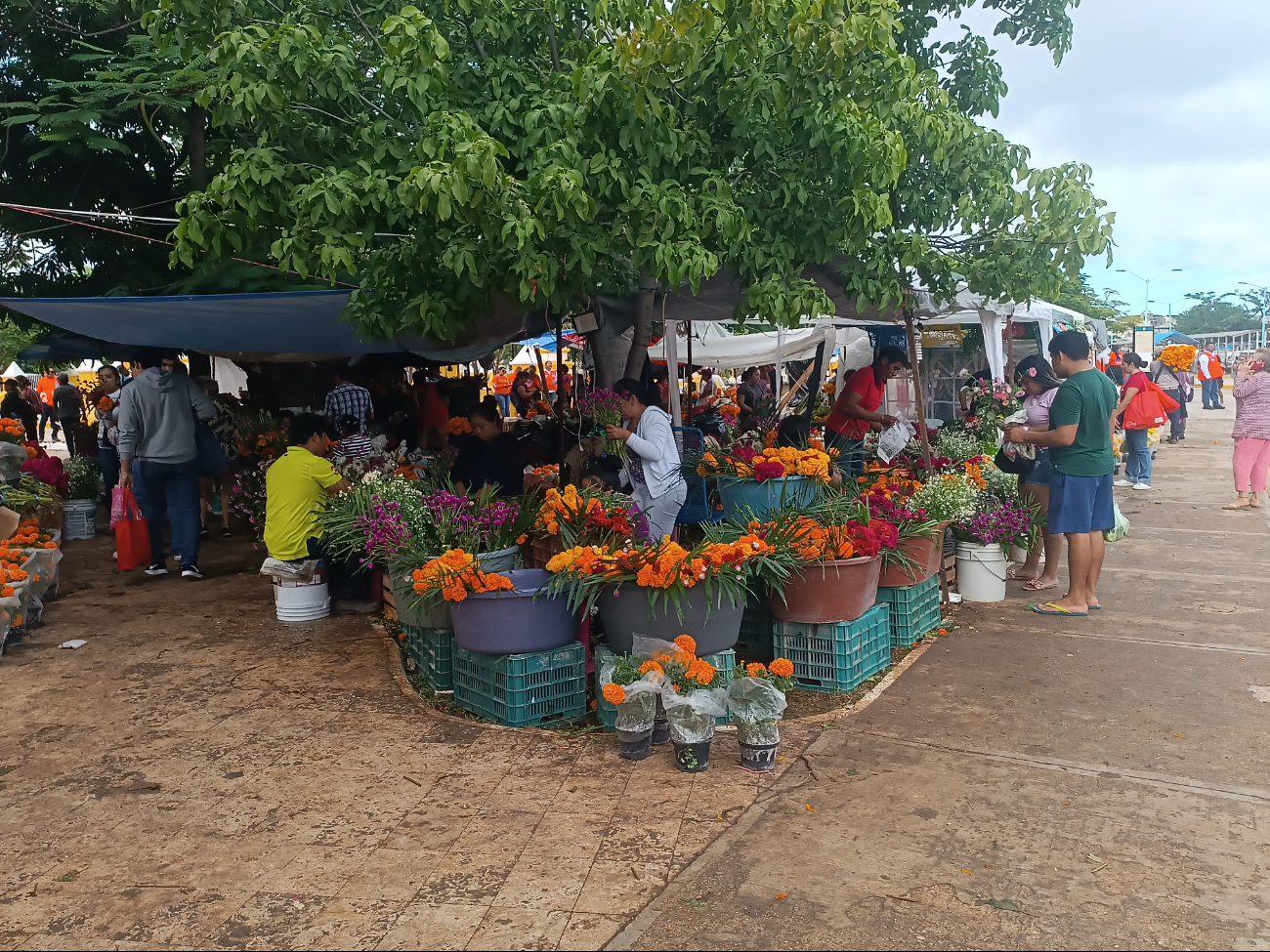 Gran afluencia en el mercado principal de Campeche por Día de Muertos 