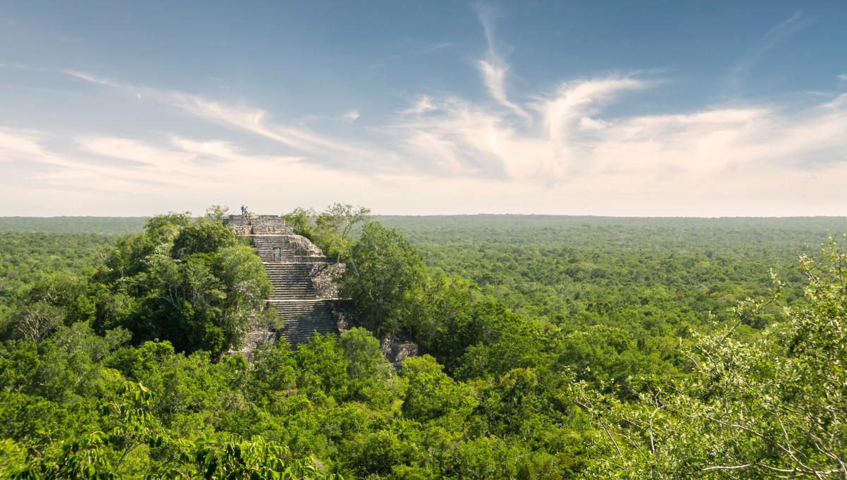 El descubrimiento fue realizado por el INAH y universidades estadounidenses (Calakmul)