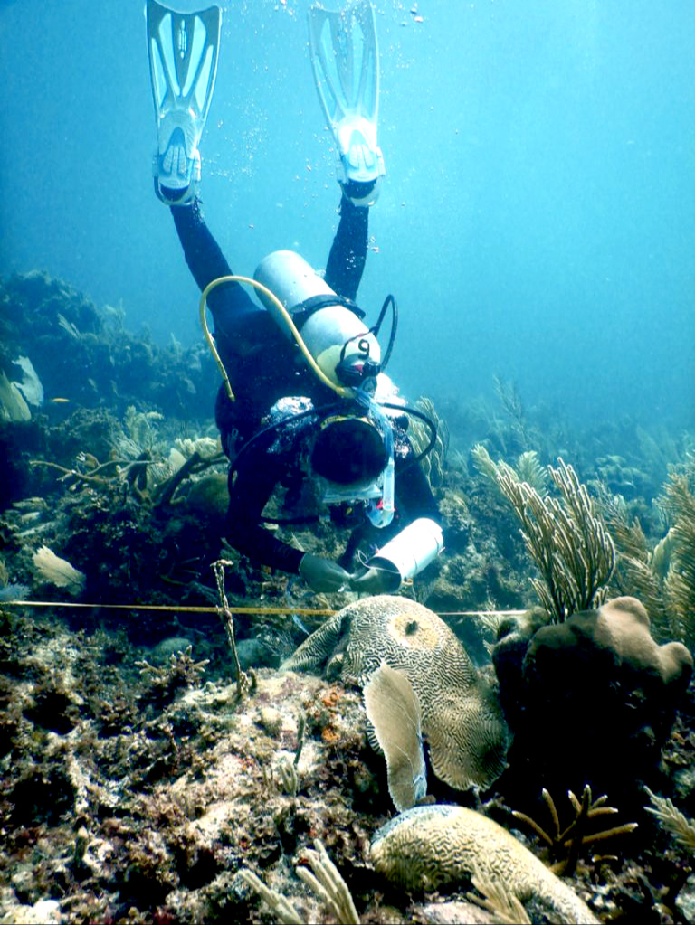 Playa del Carmen se convierte en el destino más contaminante de arrecifes