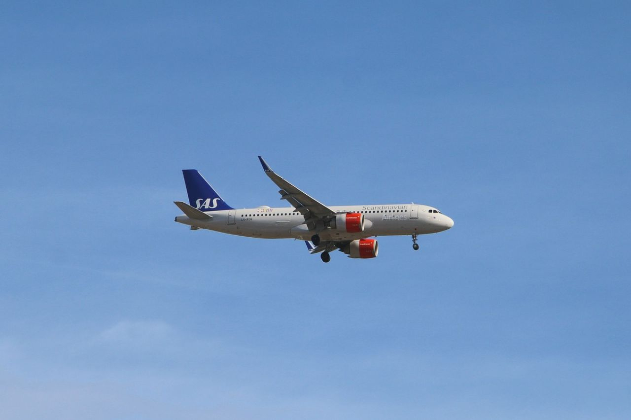 Una rata se subió a un avión de polizonte y lo obligó a aterrizar de emergencia