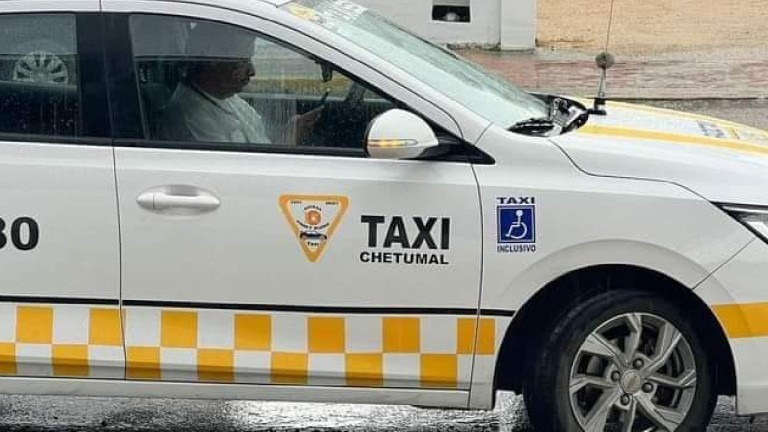 Activistas cuestionan si los taxis inclusivos serán verdaderamente adaptados a personas discapacitadas.