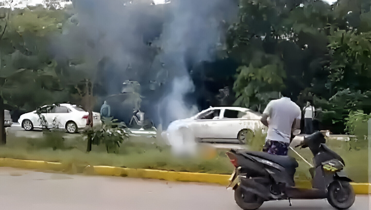   Tragedia en Playa del Carmen: Hombre muere electrocutado mientras podaba hierba  