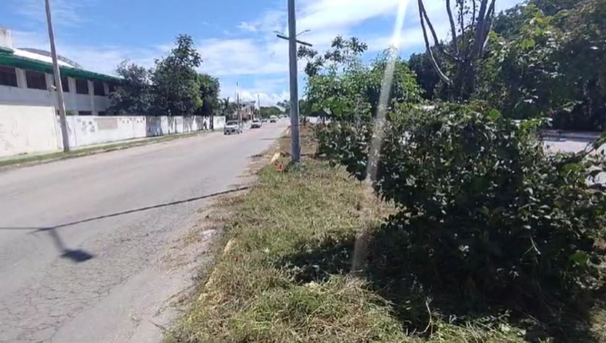 Cableado de CFE es un peligro para vecinos de Playa del Carmen