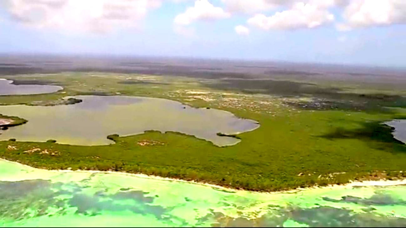 Directivos de buceo de Isla Mujeres piden regular el acceso a cenotes