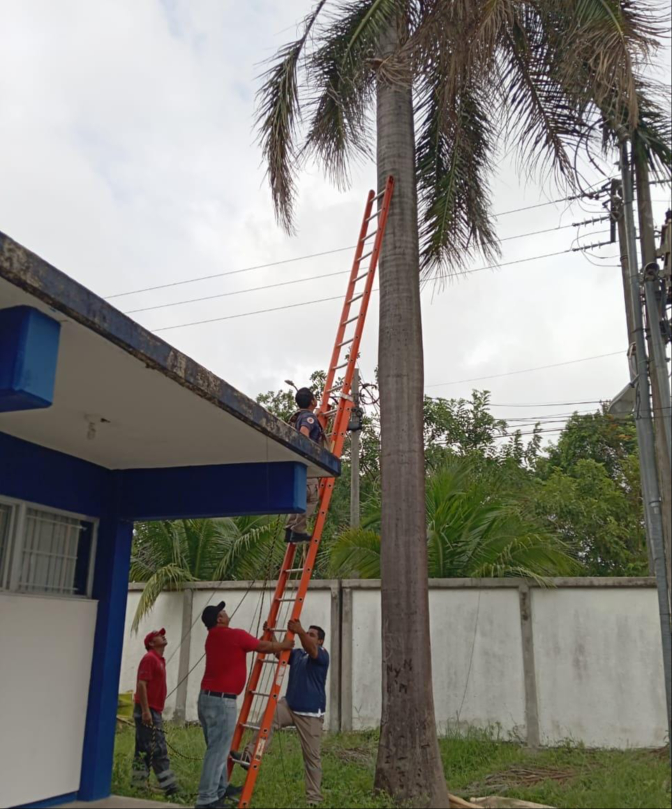 Personal de Protección Civil acudieron al plantel