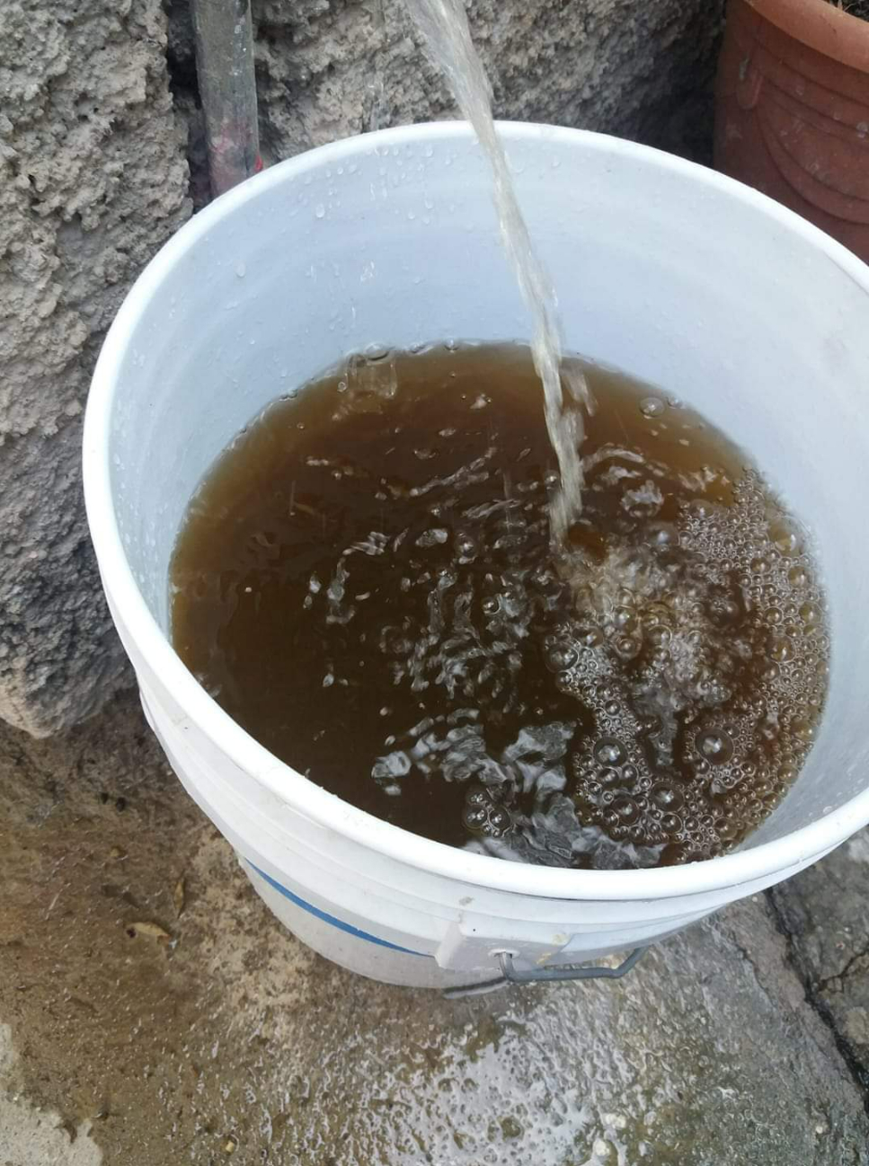 Chetumalenses reportan agua potable insalubre