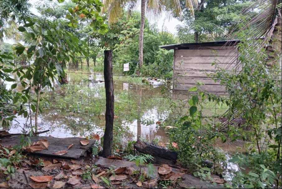  En alerta,  Casas de Aguacatal bajo el agua    