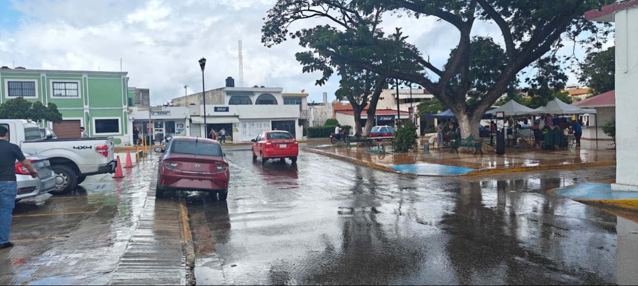 Errores comunes que cometen los campechanos al conducir