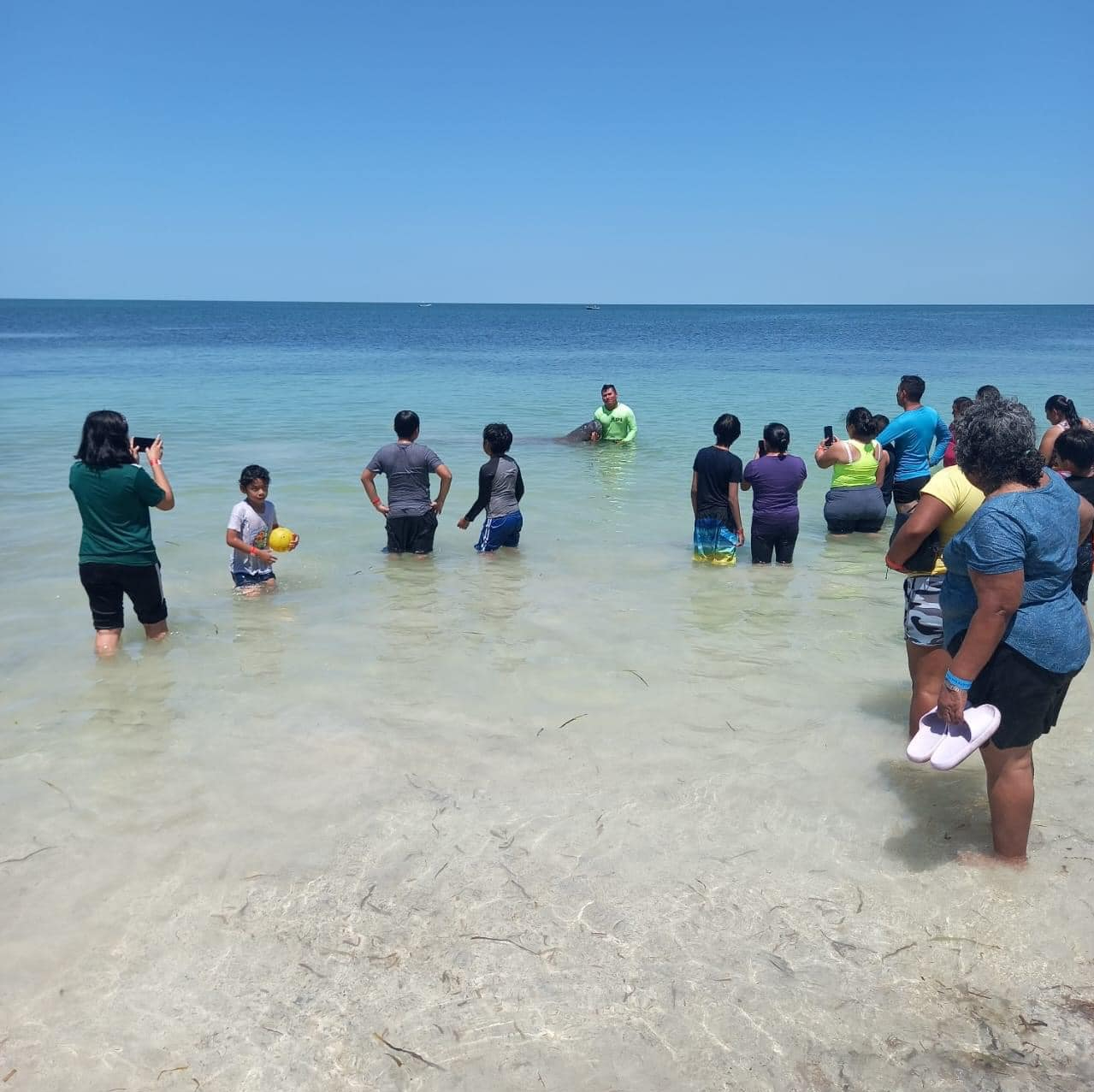 Es un visitante frecuente del balneario Playa Bonita