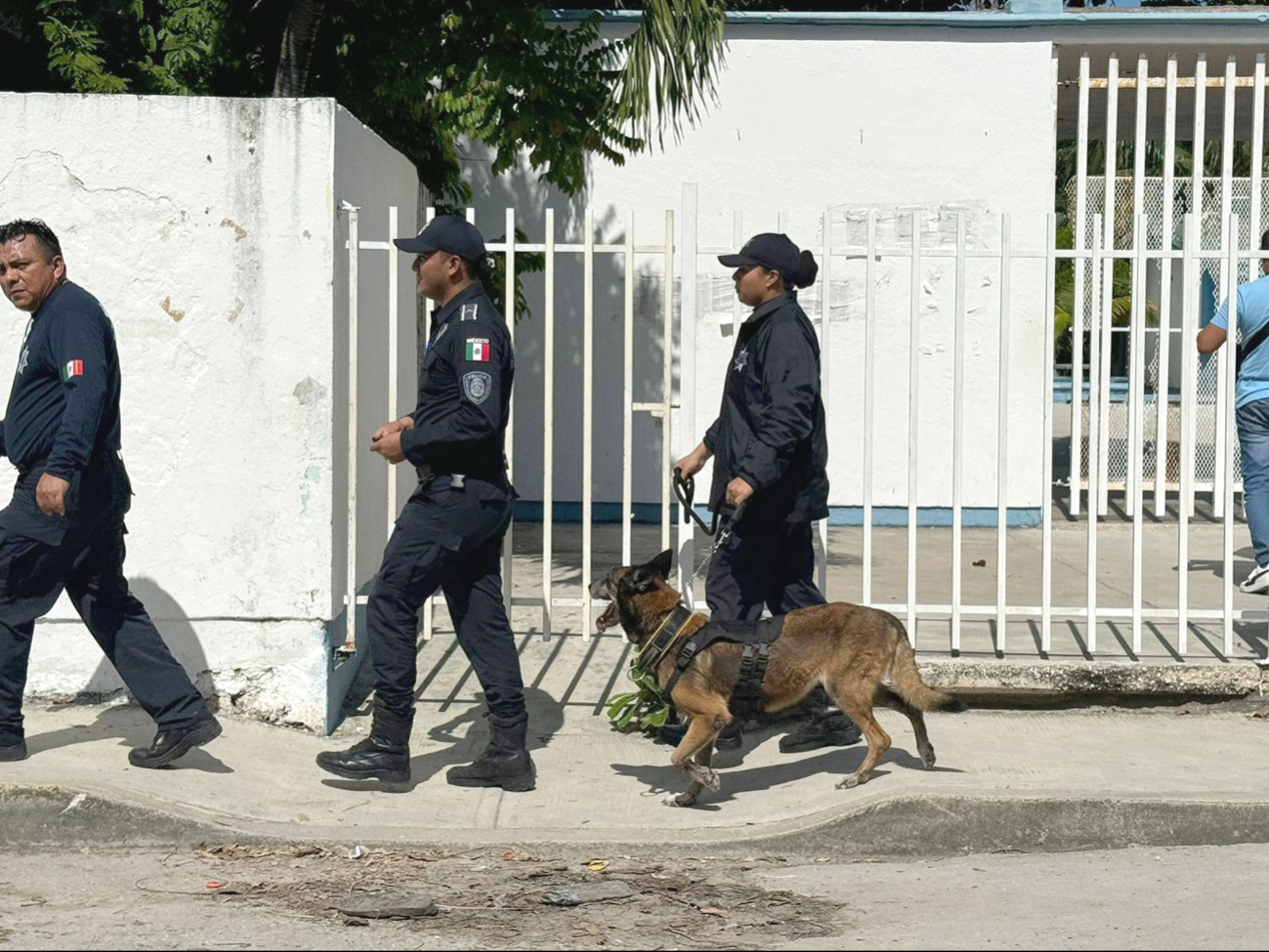 Autoridades llegaron al plantel con el Escuadrón Canino K9