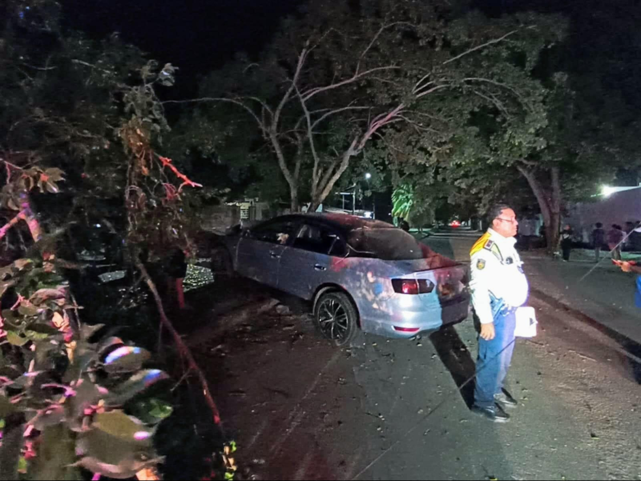 Debido al exceso de velocidad, el conductor chocó contra un árbol, dañando los cables de luz