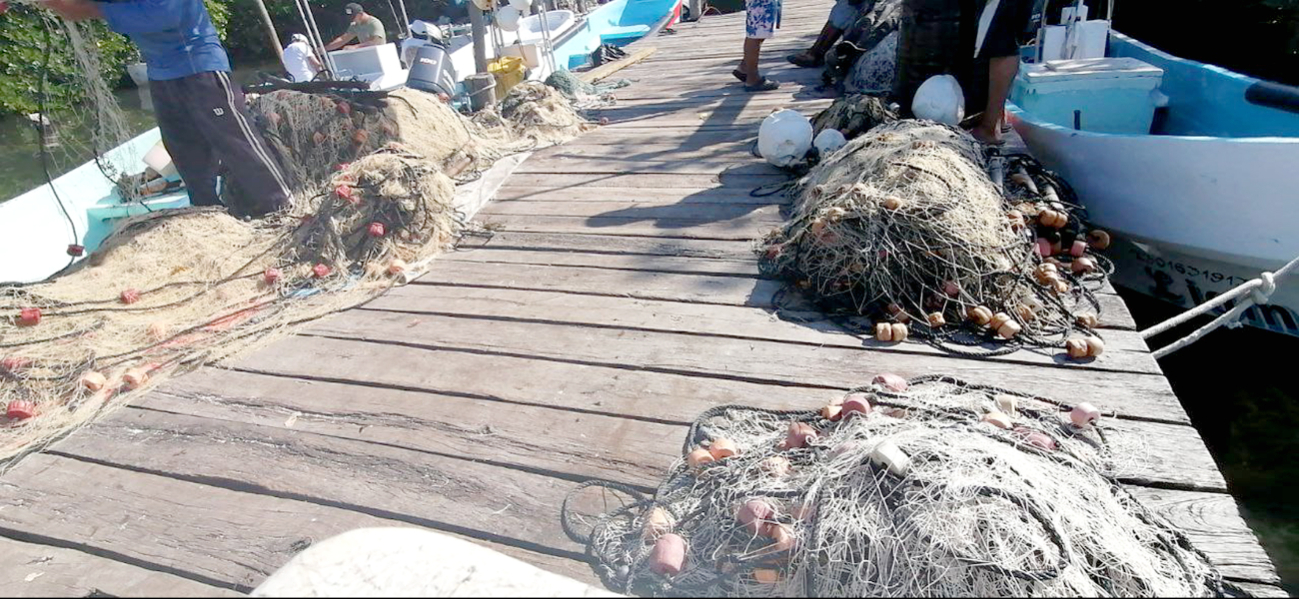 Los huracanes ha afectado con la pesca de mariscos