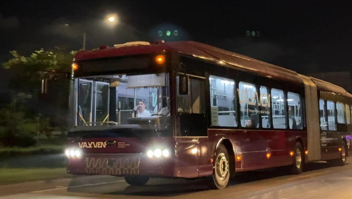 Sólo la ruta Periférico articulada de Va y Ven será guinda