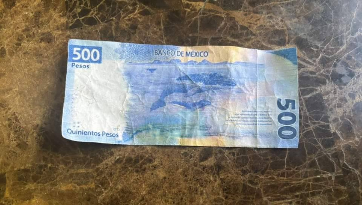 Hay varias características de los billetes falsos