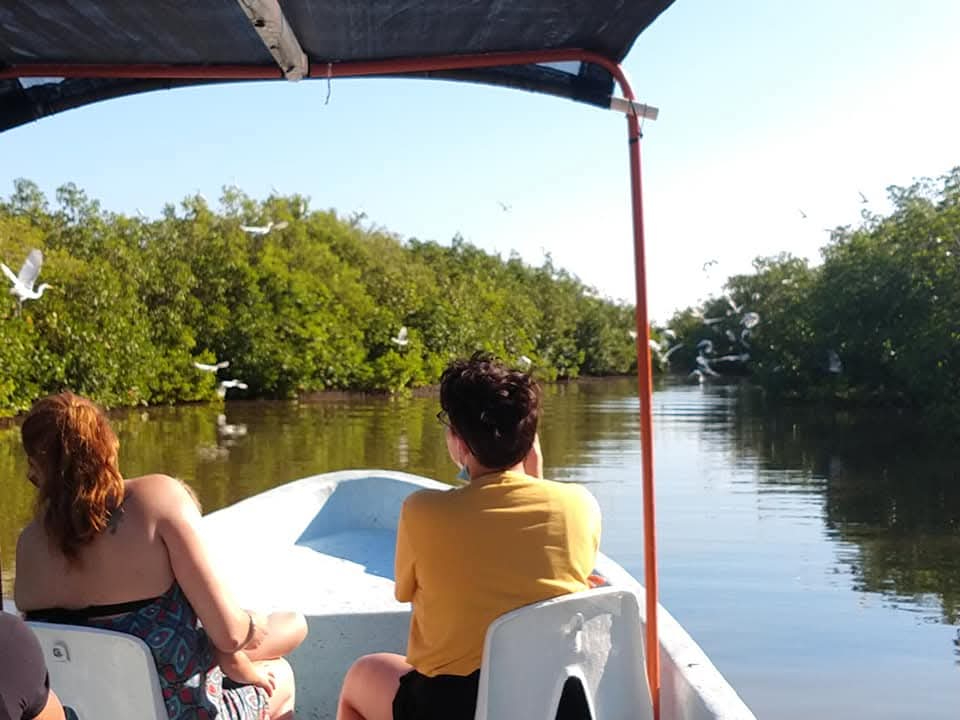 Las aves migran a Río Lagartos cada año