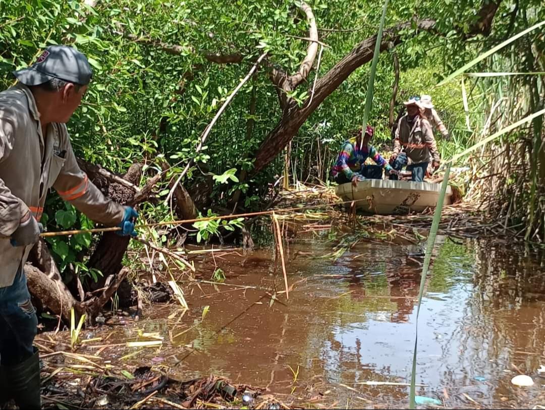  Rescatarán Laguna de la Guadalupe    ubicada en Ciudad del Carmen