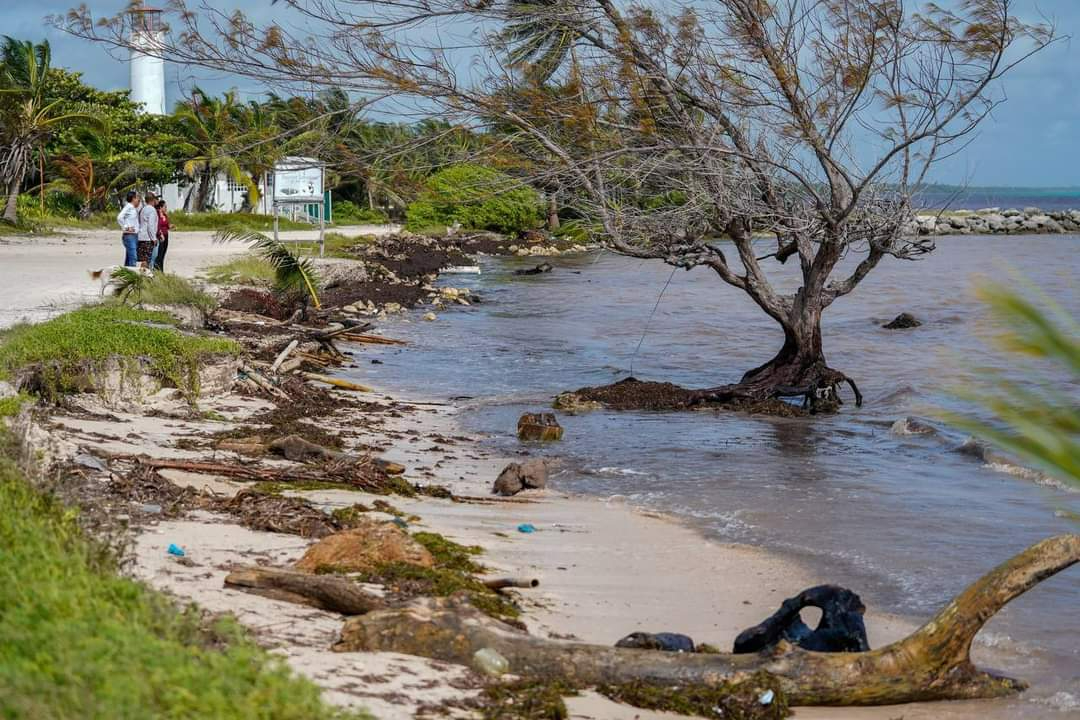 Tormenta tropical Sara causa afectaciones en Xcalak