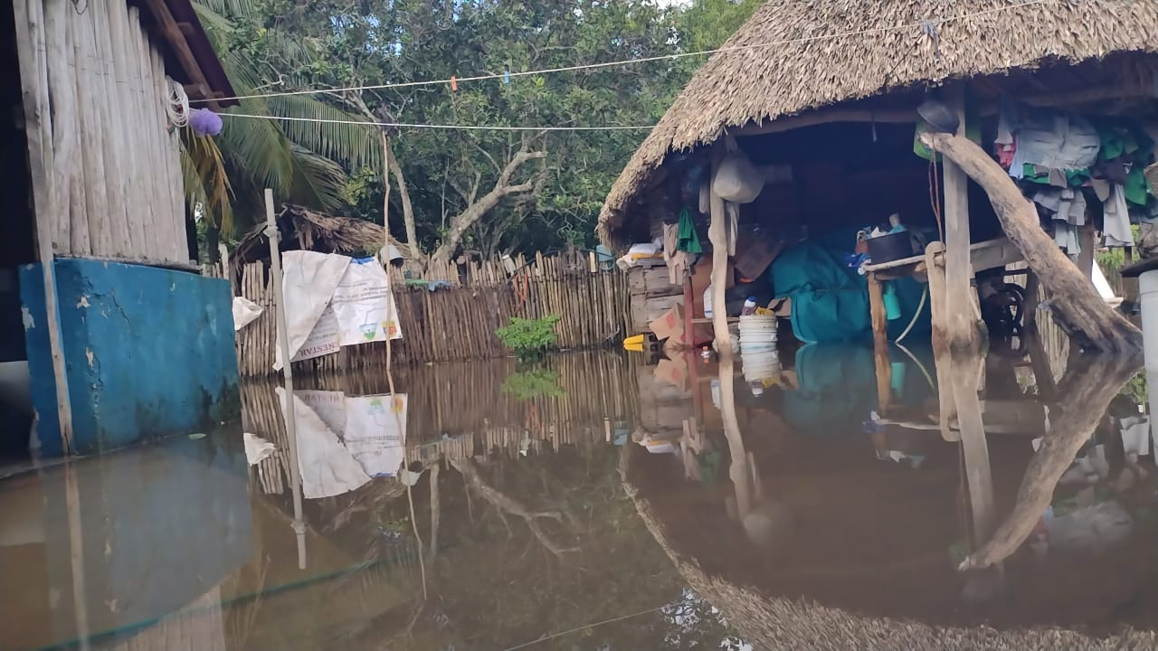 Más de 10 familias de Felipe Carrillo Puerto sufren de hogares inundados por Tormenta Tropical “Sara"