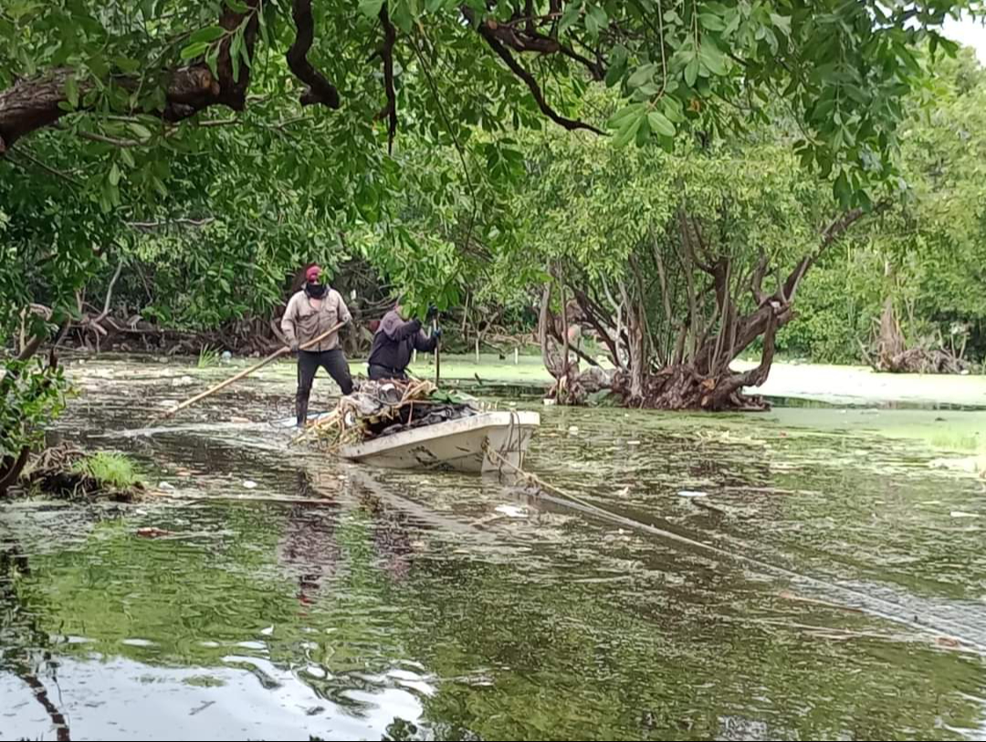 Laguna de Guadalupe en Ciudad del Carmen está 75% contaminada de basura  