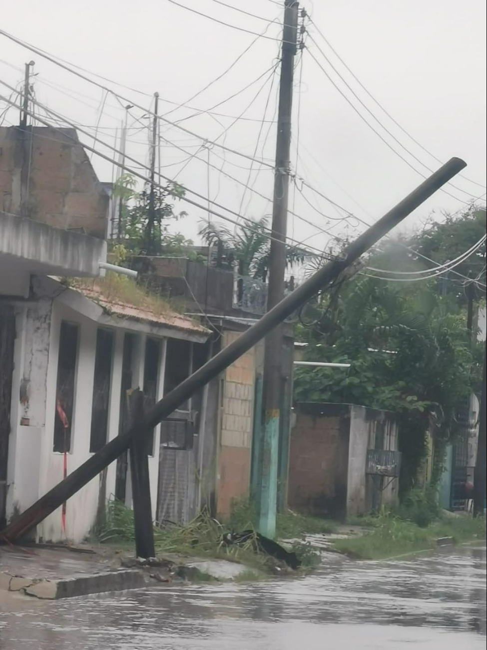 Se insta a que se solucione este problema, pues debería ser una prioridad atenderlo.