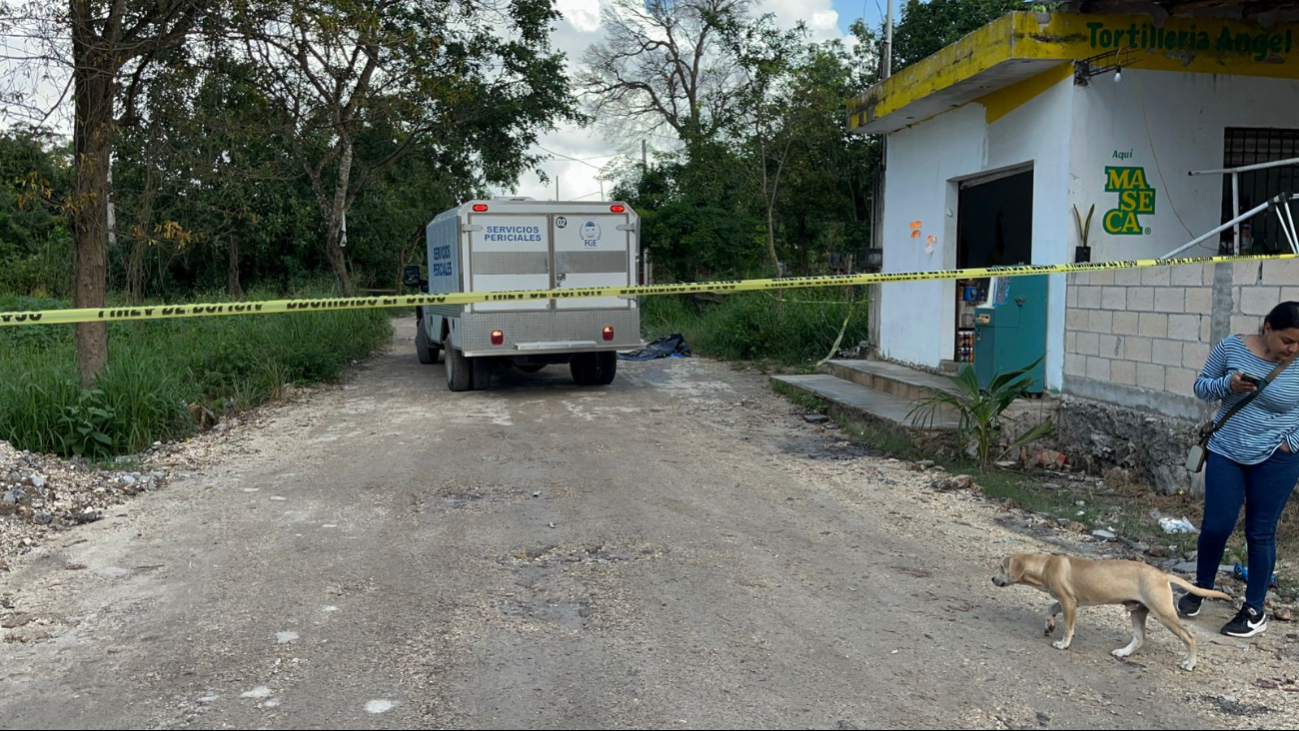 Vecinos de la colonia México encontraron una osamenta en un área verde cerca de la avenida José López Portillo