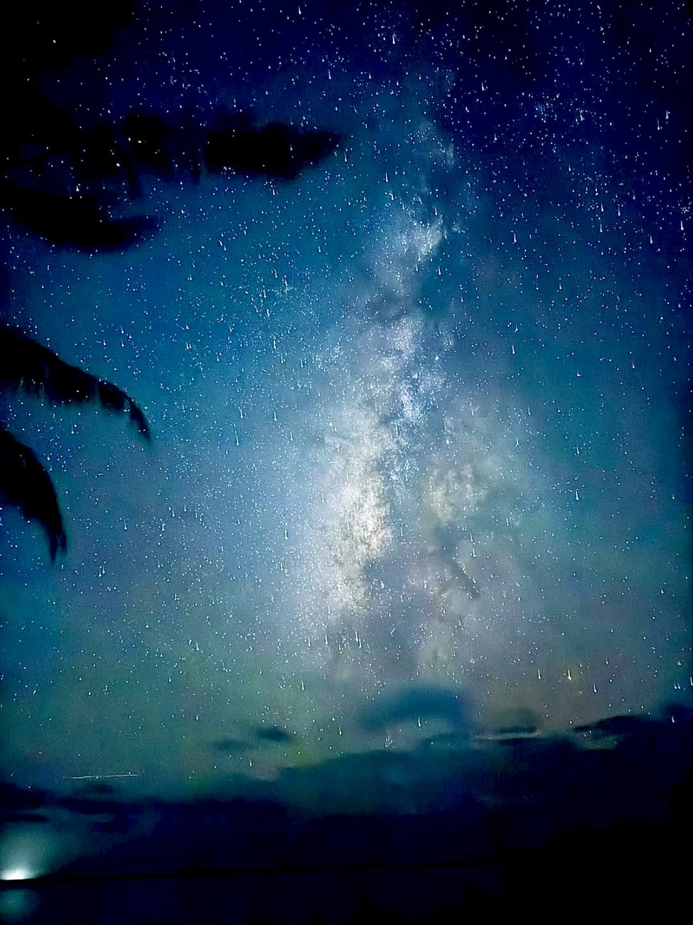 Tours de bioluminiscencia disminuye en Holbox; solo  un 70% sigue operando