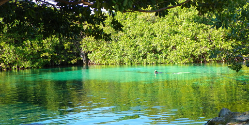 Según la leyenda maya, los cenotes son portales al inframundo protegidos por aluxes