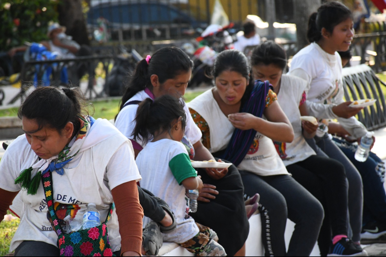 Este 2024, se cumplen 15 años de servicio a los peregrinos en Campeche por las fiestas patronales en honor a la Virgen de Guadalupe