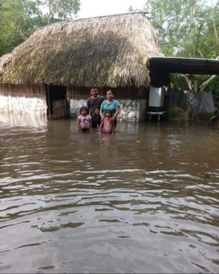 Tras "Sara" múltiples habitantes de la región de Othón P. Blanco han sido afectados.