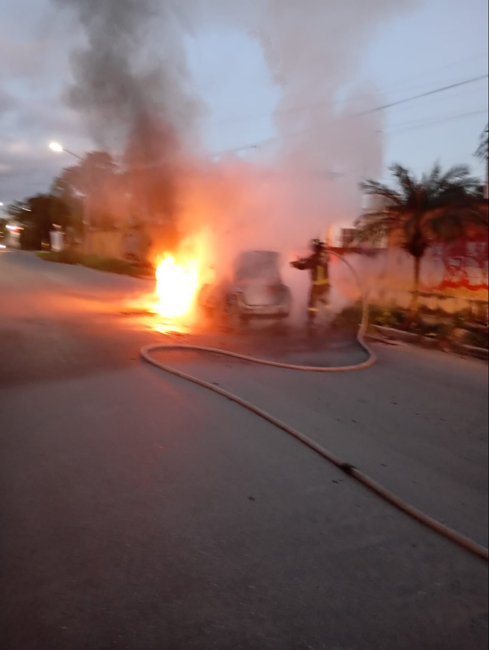 El cuerpo de bomberos se encargaron de apagar las llamas