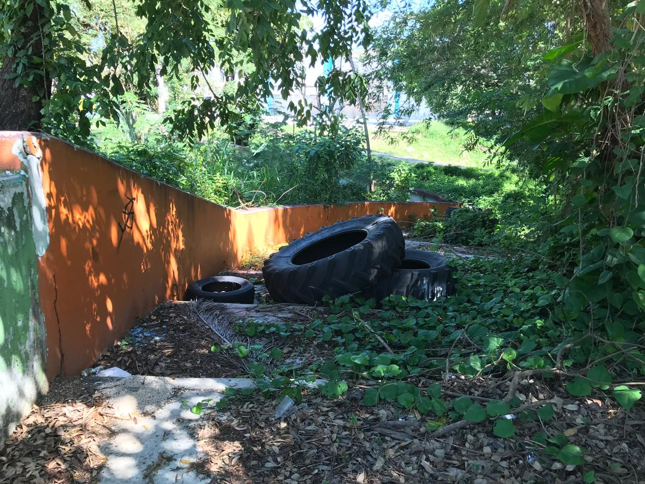 Dentro del parque hay residuos de basura y restos de automóviles, como lo son las llantas