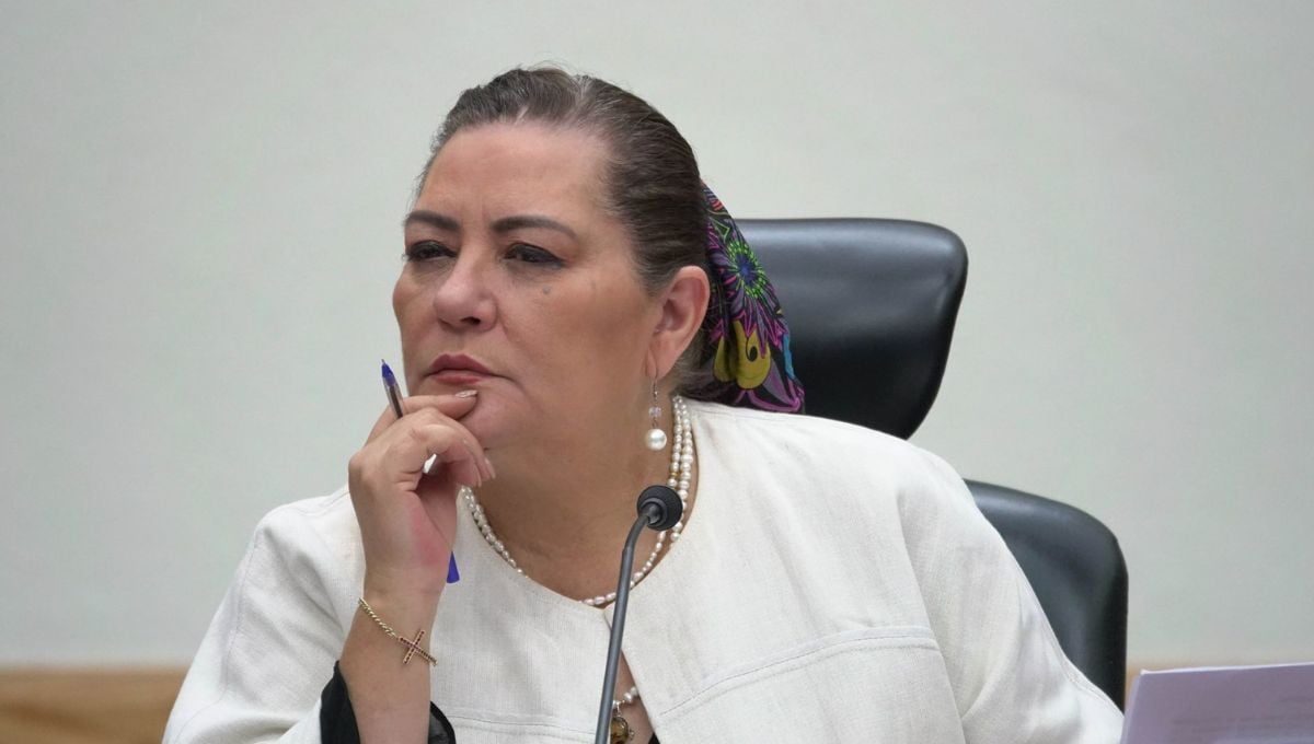 Guadalupoe Taddei Zavala, consejera presidenta del Instituto Nacional Electoral (INE)