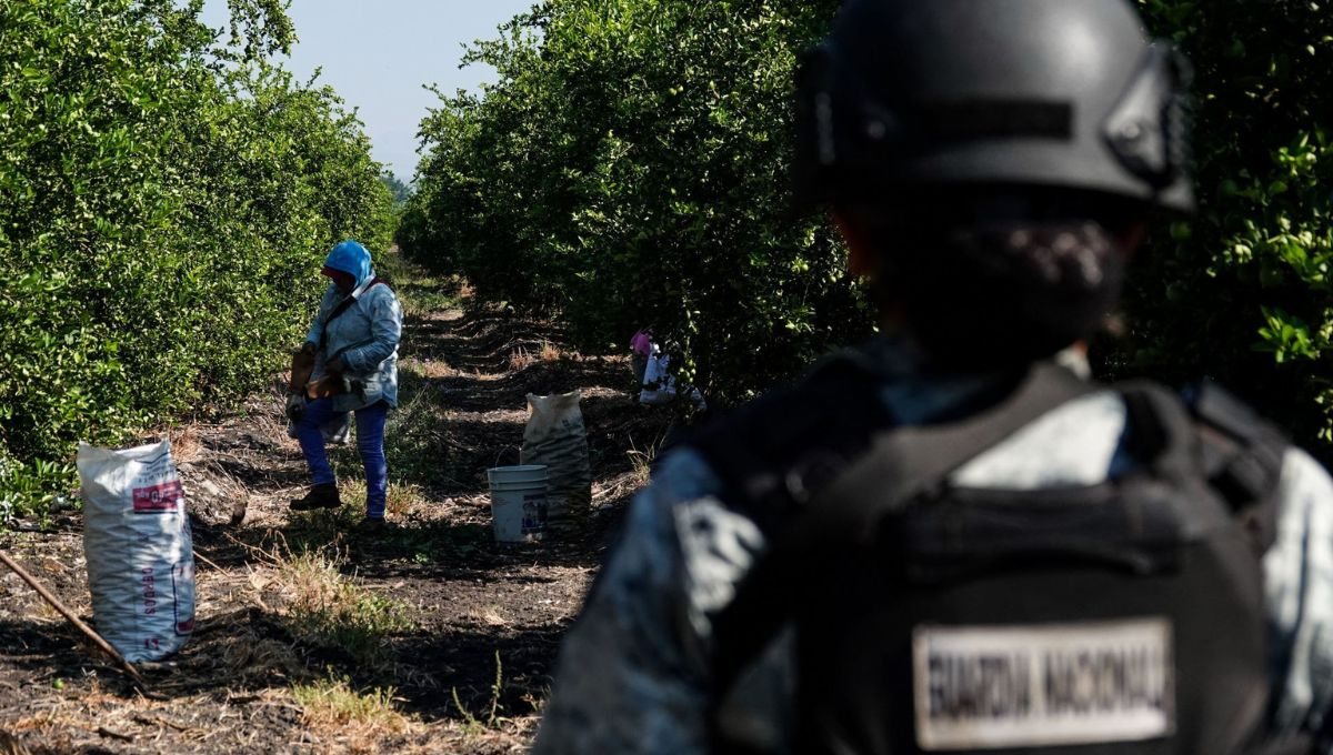 La Operación Tierra Caliente busca no solo garantizar la seguridad de los agricultores, sino también proteger la economía de la región