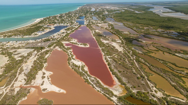 Las aguas de la región son hogar del crustáceo "Artemia", principal alimento de los flamencos rosados.