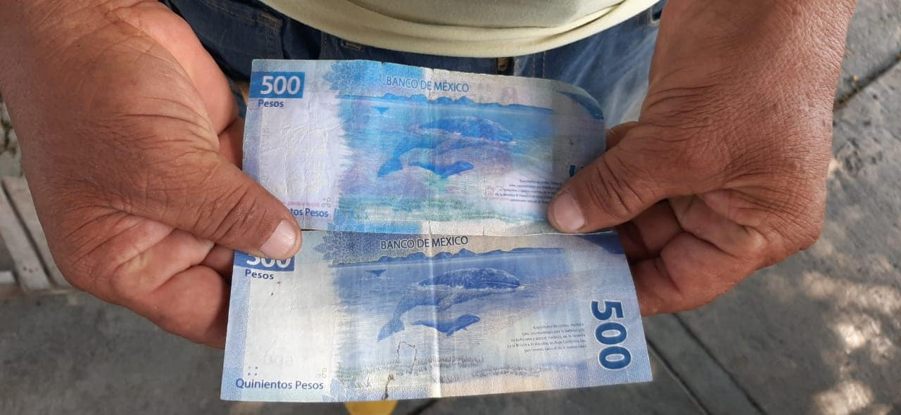 Aparición de billetes falsos aumenta durante diciembre.